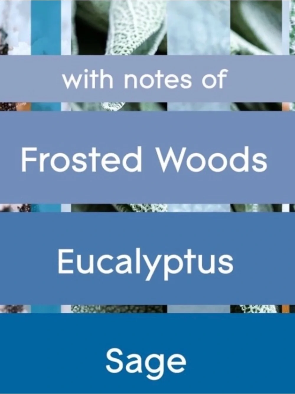 NEW- Glade PlugIns (First Frost) 5 Pack Refills Air Fresheners